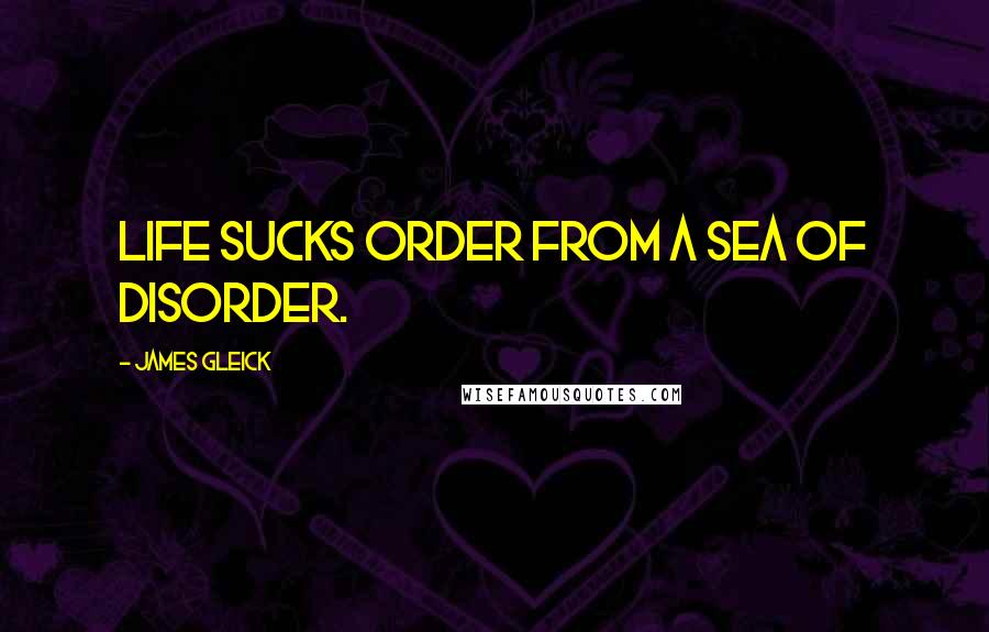 James Gleick Quotes: Life sucks order from a sea of disorder.