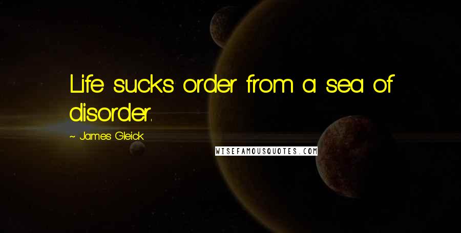 James Gleick Quotes: Life sucks order from a sea of disorder.