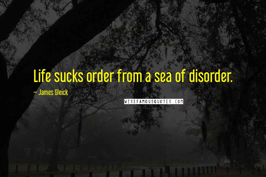 James Gleick Quotes: Life sucks order from a sea of disorder.