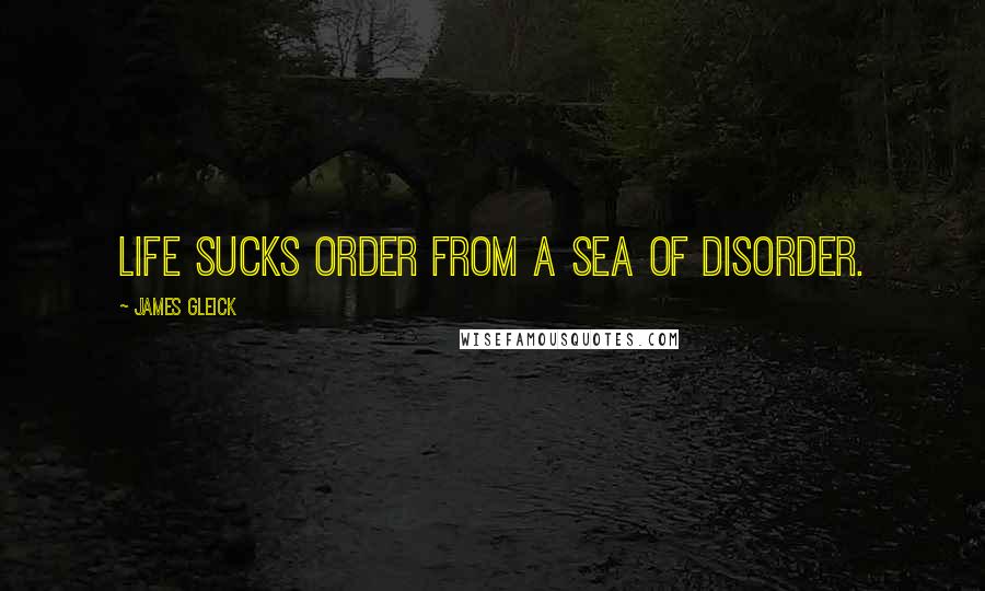 James Gleick Quotes: Life sucks order from a sea of disorder.