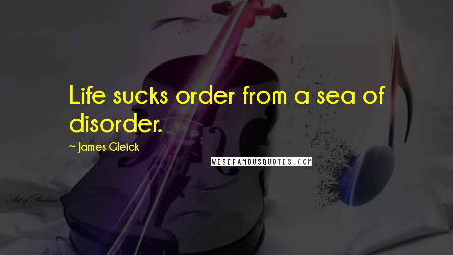 James Gleick Quotes: Life sucks order from a sea of disorder.