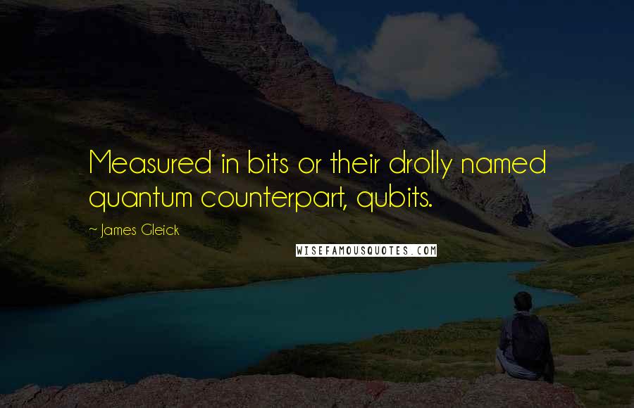 James Gleick Quotes: Measured in bits or their drolly named quantum counterpart, qubits.