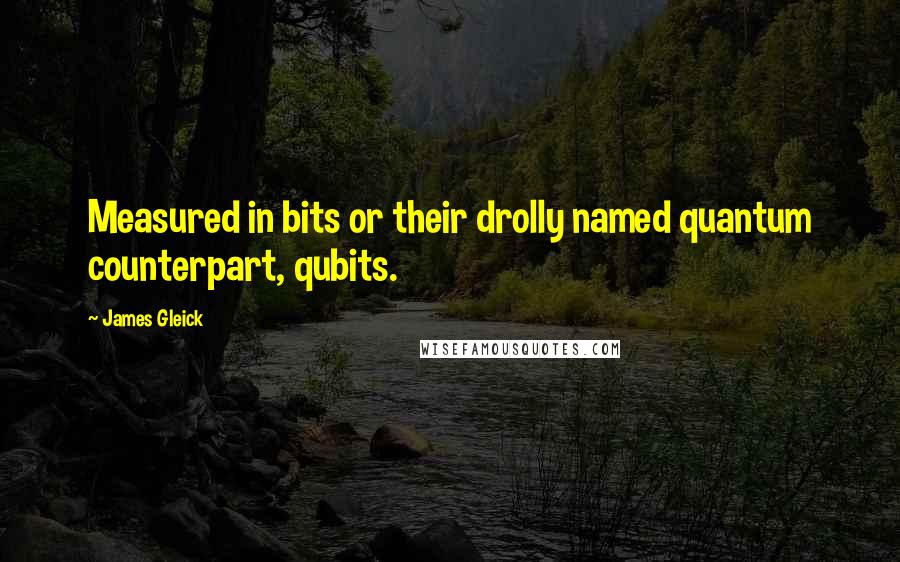 James Gleick Quotes: Measured in bits or their drolly named quantum counterpart, qubits.