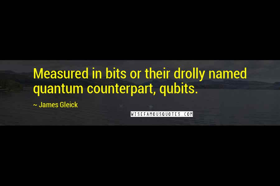 James Gleick Quotes: Measured in bits or their drolly named quantum counterpart, qubits.