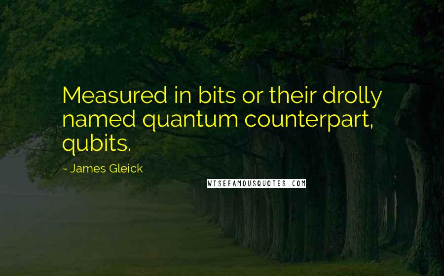 James Gleick Quotes: Measured in bits or their drolly named quantum counterpart, qubits.