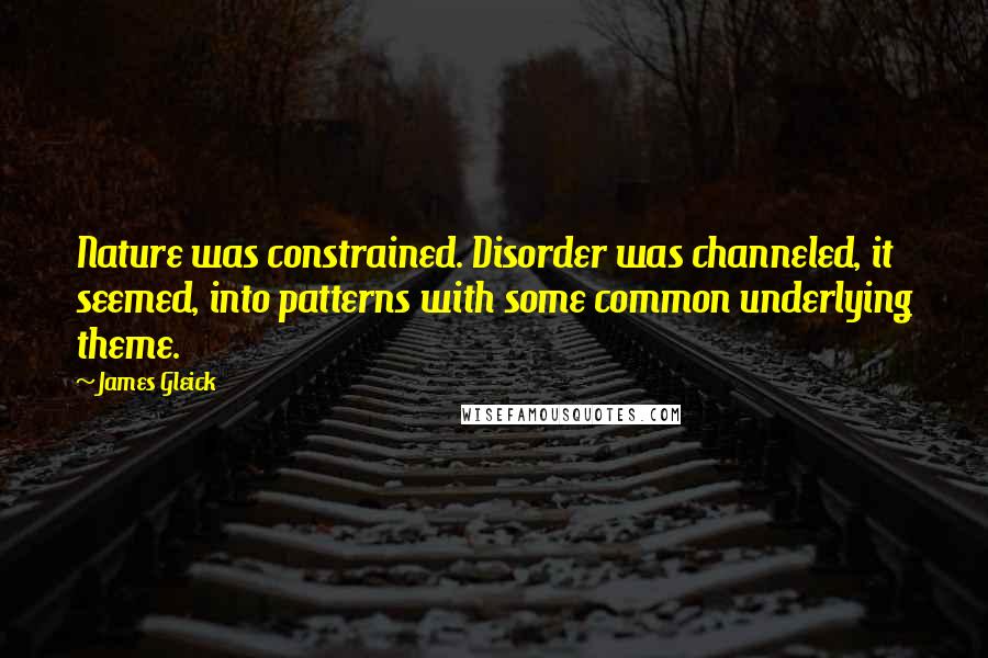 James Gleick Quotes: Nature was constrained. Disorder was channeled, it seemed, into patterns with some common underlying theme.
