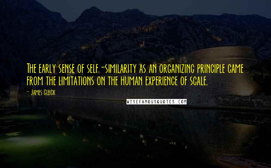 James Gleick Quotes: The early sense of self-similarity as an organizing principle came from the limitations on the human experience of scale.