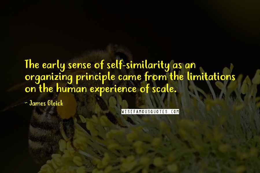 James Gleick Quotes: The early sense of self-similarity as an organizing principle came from the limitations on the human experience of scale.