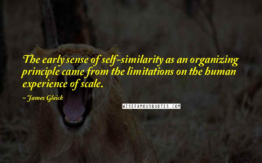 James Gleick Quotes: The early sense of self-similarity as an organizing principle came from the limitations on the human experience of scale.