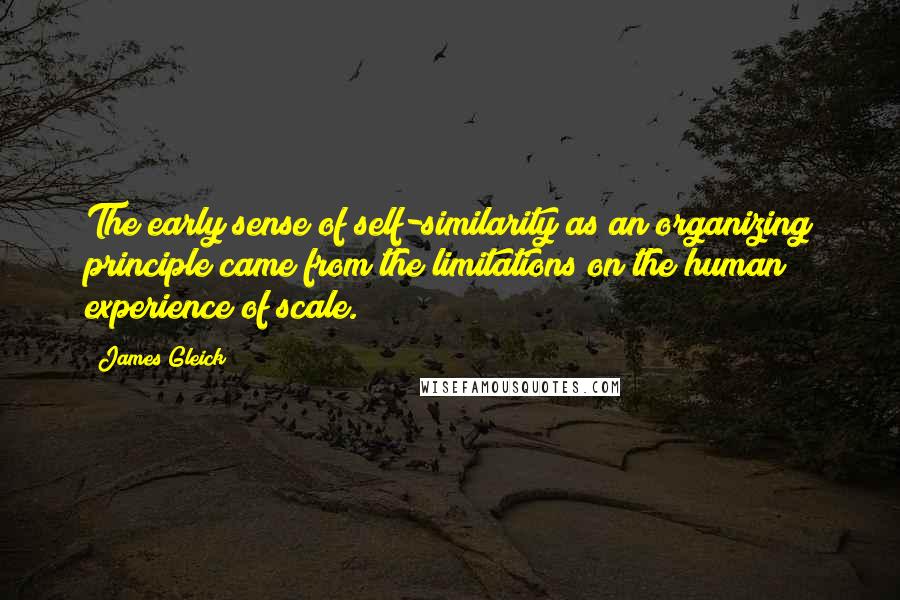 James Gleick Quotes: The early sense of self-similarity as an organizing principle came from the limitations on the human experience of scale.