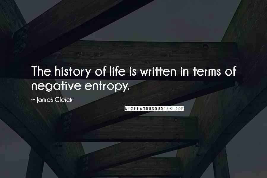 James Gleick Quotes: The history of life is written in terms of negative entropy.