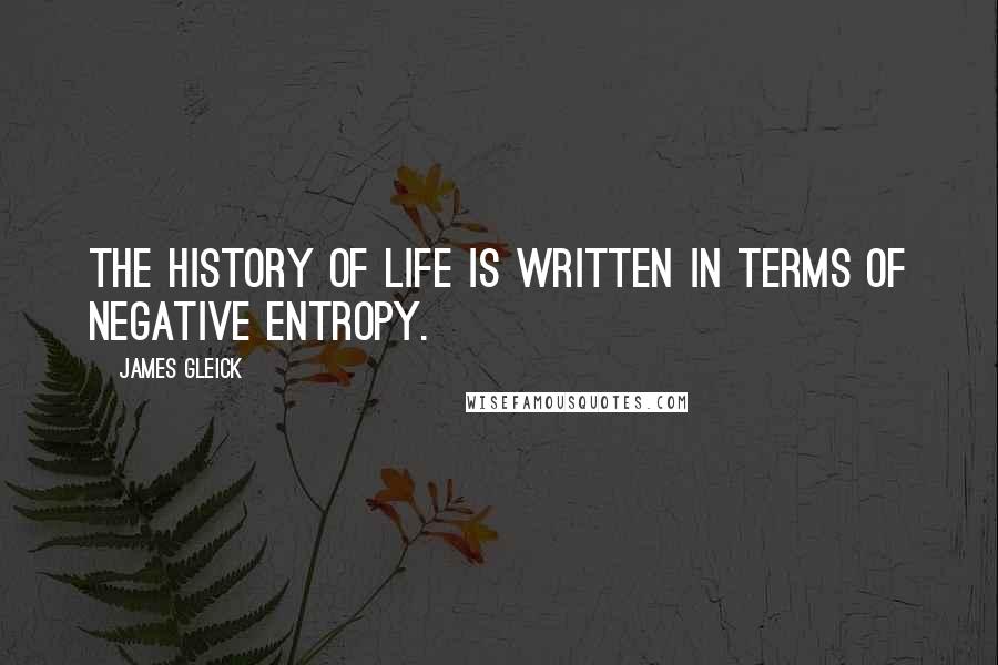 James Gleick Quotes: The history of life is written in terms of negative entropy.