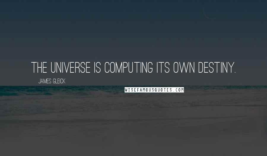 James Gleick Quotes: The universe is computing its own destiny.