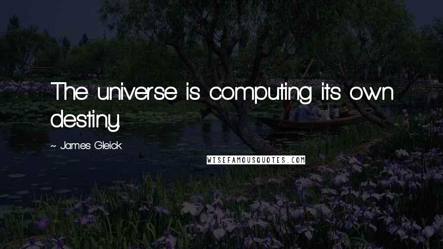 James Gleick Quotes: The universe is computing its own destiny.