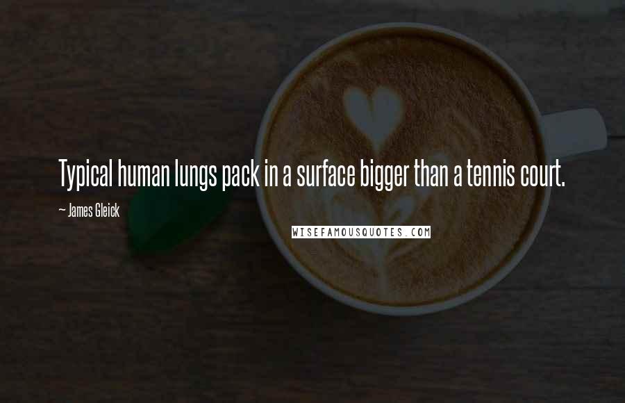 James Gleick Quotes: Typical human lungs pack in a surface bigger than a tennis court.