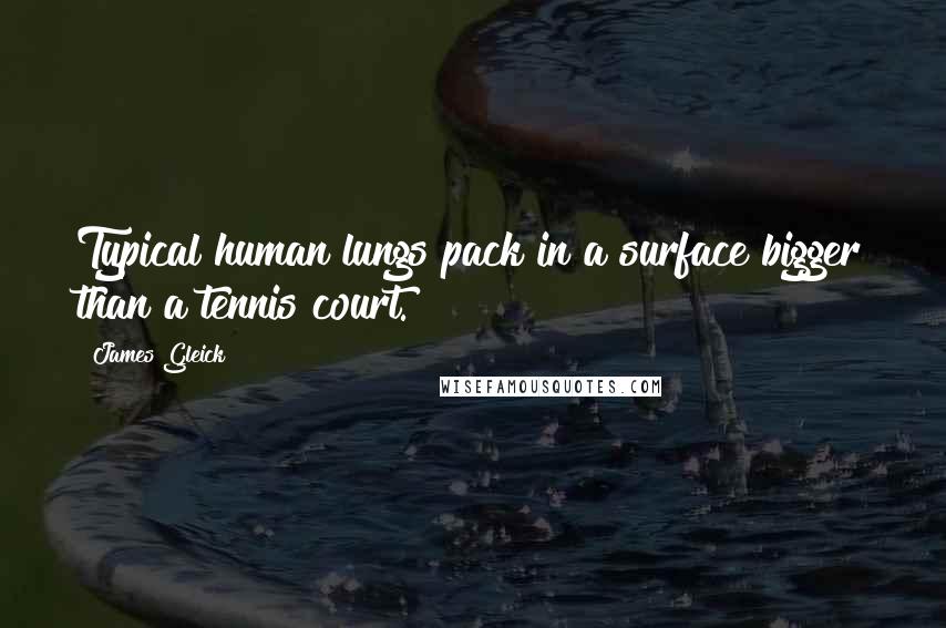 James Gleick Quotes: Typical human lungs pack in a surface bigger than a tennis court.