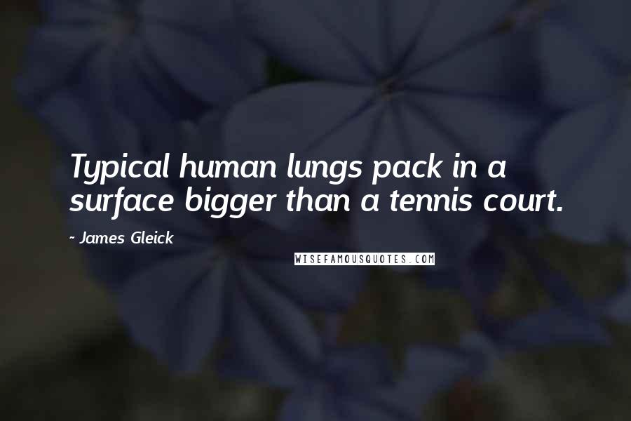 James Gleick Quotes: Typical human lungs pack in a surface bigger than a tennis court.