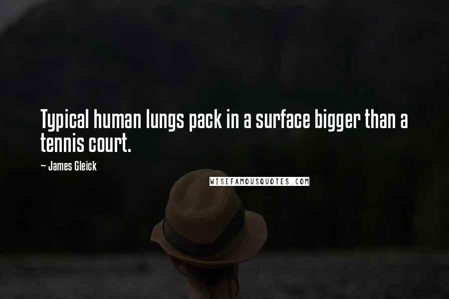 James Gleick Quotes: Typical human lungs pack in a surface bigger than a tennis court.