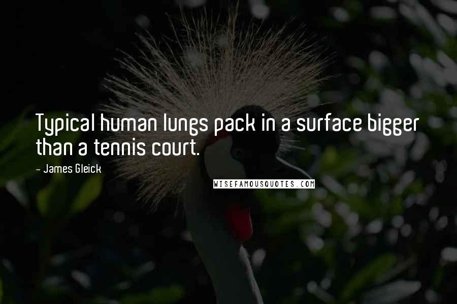 James Gleick Quotes: Typical human lungs pack in a surface bigger than a tennis court.