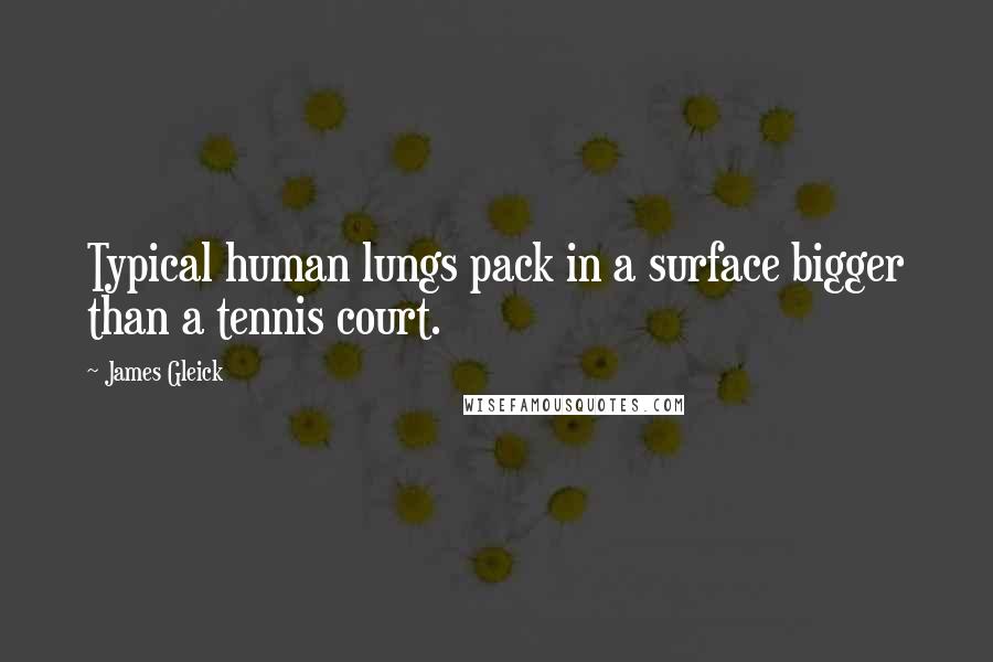 James Gleick Quotes: Typical human lungs pack in a surface bigger than a tennis court.