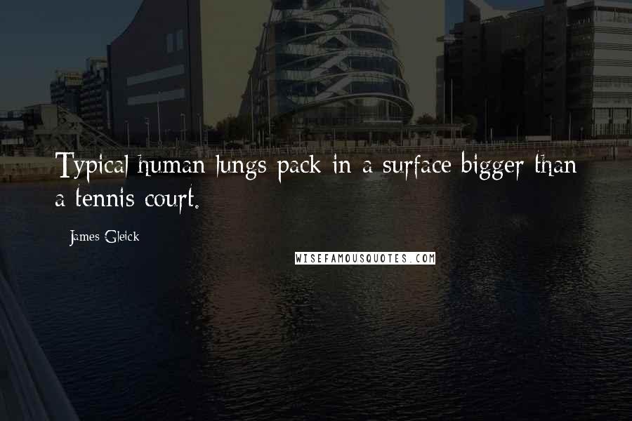 James Gleick Quotes: Typical human lungs pack in a surface bigger than a tennis court.