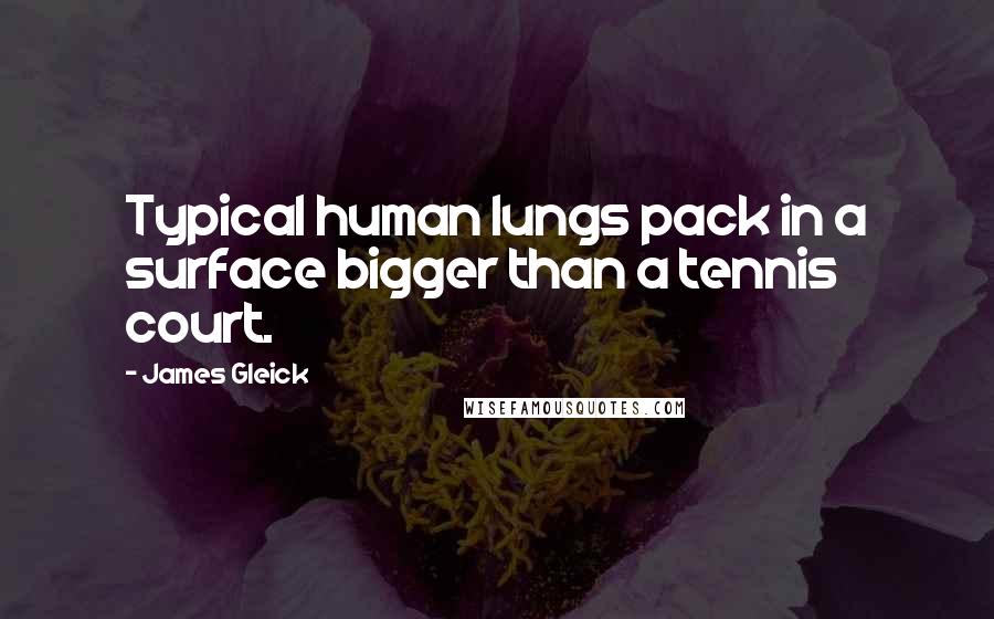 James Gleick Quotes: Typical human lungs pack in a surface bigger than a tennis court.