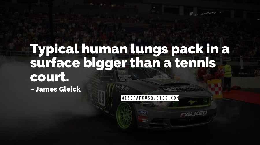 James Gleick Quotes: Typical human lungs pack in a surface bigger than a tennis court.