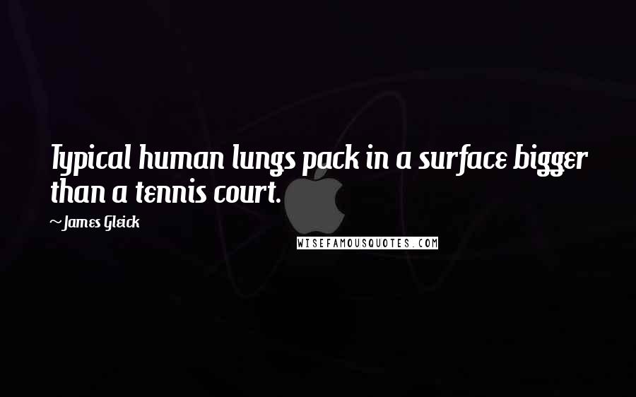 James Gleick Quotes: Typical human lungs pack in a surface bigger than a tennis court.