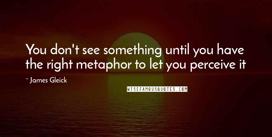 James Gleick Quotes: You don't see something until you have the right metaphor to let you perceive it