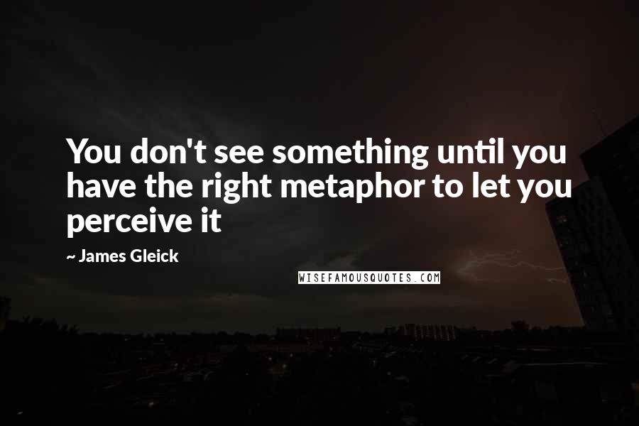 James Gleick Quotes: You don't see something until you have the right metaphor to let you perceive it