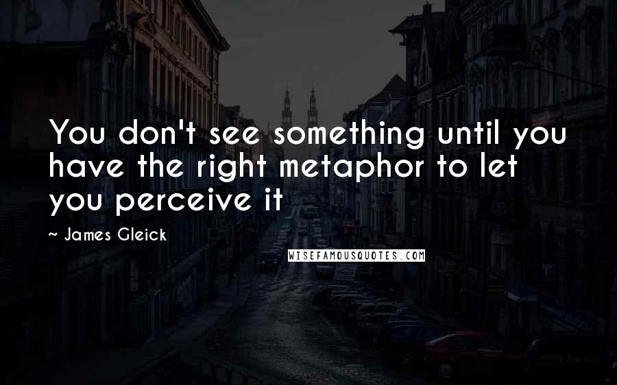 James Gleick Quotes: You don't see something until you have the right metaphor to let you perceive it