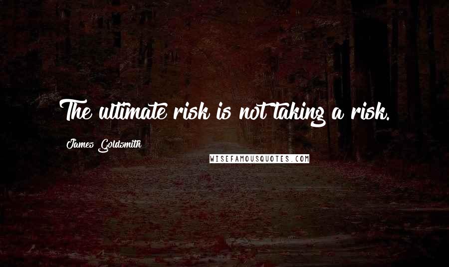 James Goldsmith Quotes: The ultimate risk is not taking a risk.