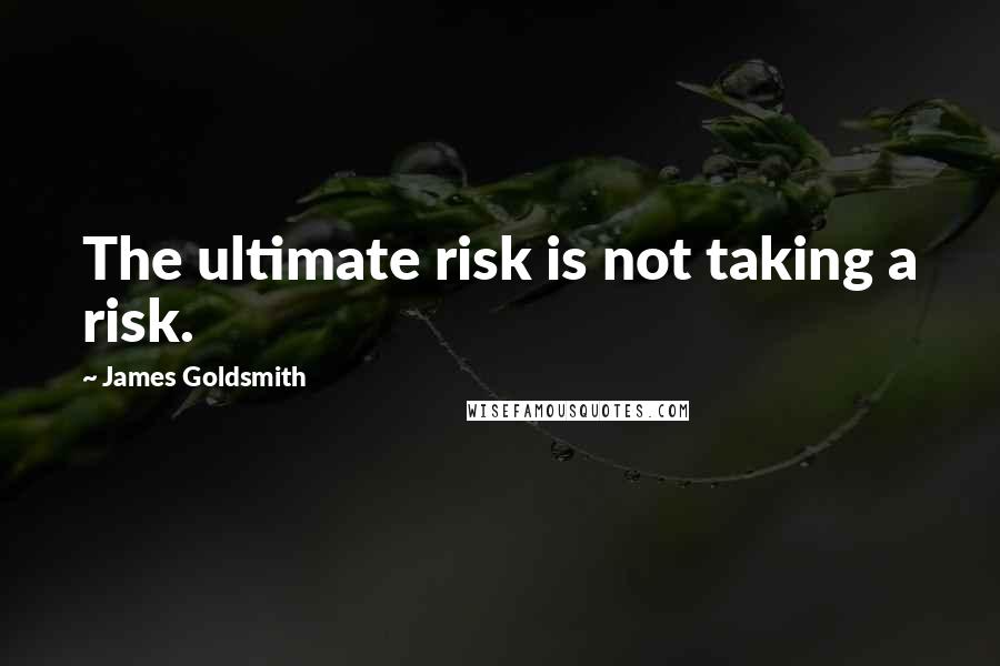 James Goldsmith Quotes: The ultimate risk is not taking a risk.