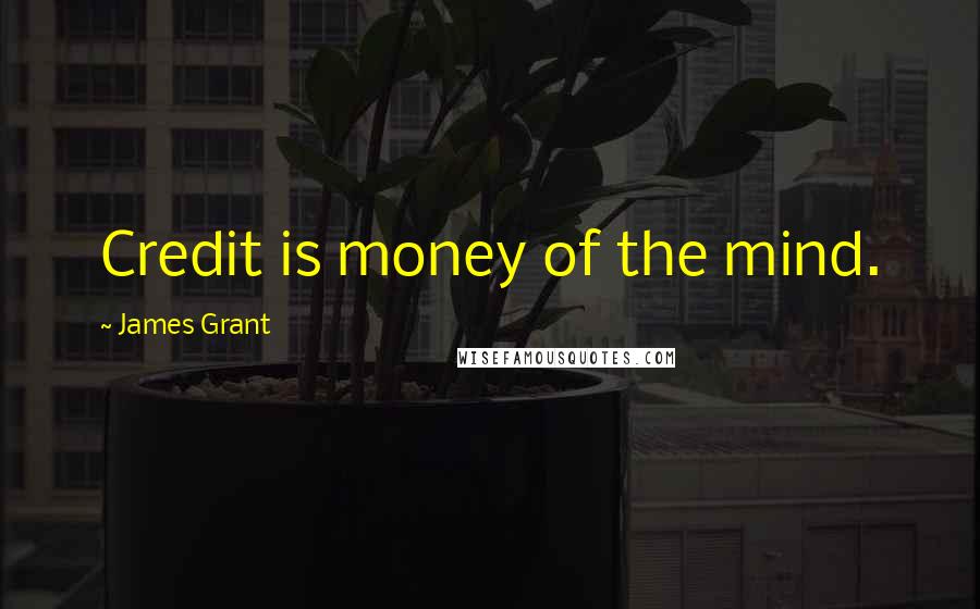 James Grant Quotes: Credit is money of the mind.