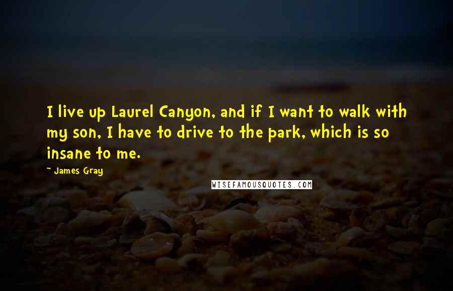 James Gray Quotes: I live up Laurel Canyon, and if I want to walk with my son, I have to drive to the park, which is so insane to me.