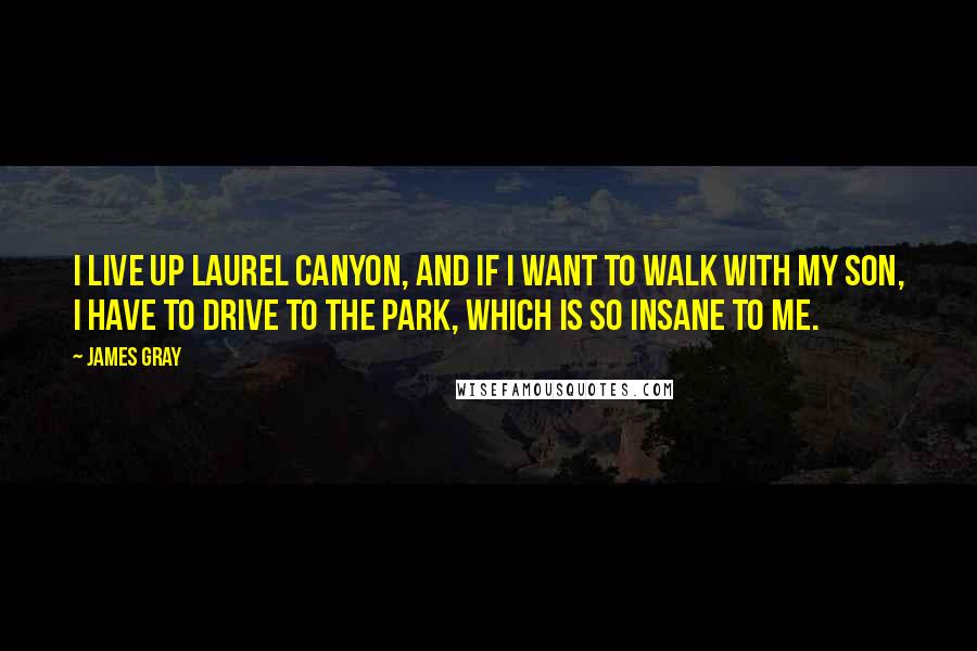 James Gray Quotes: I live up Laurel Canyon, and if I want to walk with my son, I have to drive to the park, which is so insane to me.