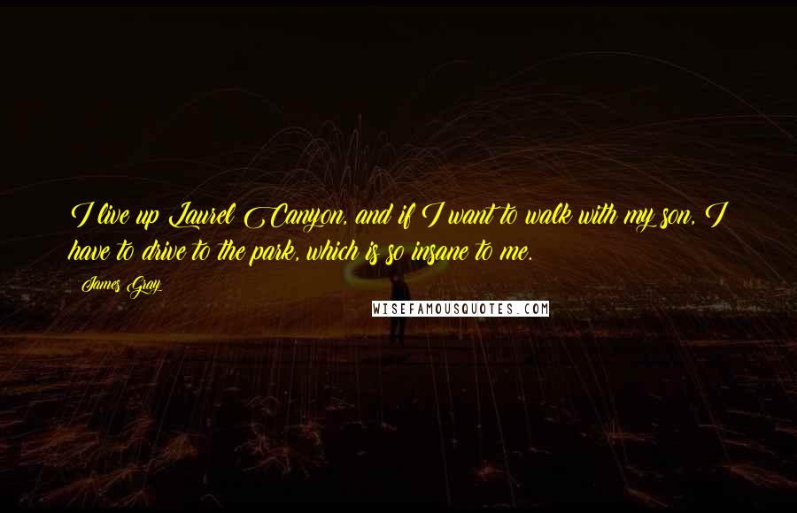 James Gray Quotes: I live up Laurel Canyon, and if I want to walk with my son, I have to drive to the park, which is so insane to me.