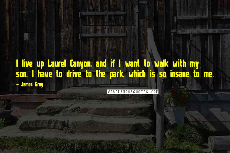 James Gray Quotes: I live up Laurel Canyon, and if I want to walk with my son, I have to drive to the park, which is so insane to me.