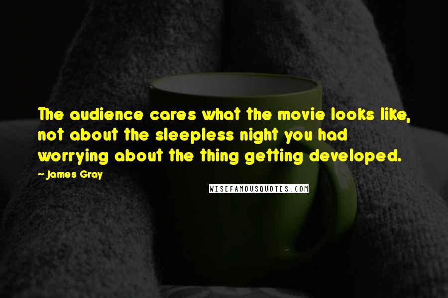 James Gray Quotes: The audience cares what the movie looks like, not about the sleepless night you had worrying about the thing getting developed.