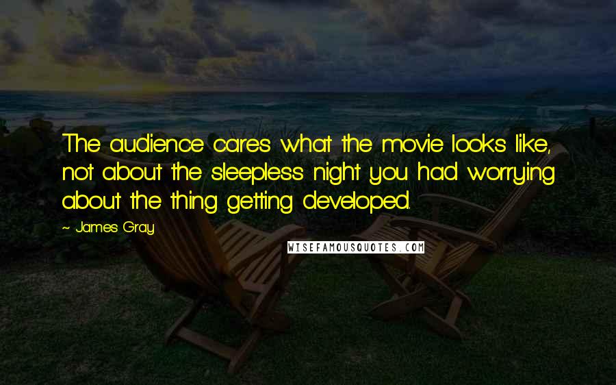 James Gray Quotes: The audience cares what the movie looks like, not about the sleepless night you had worrying about the thing getting developed.