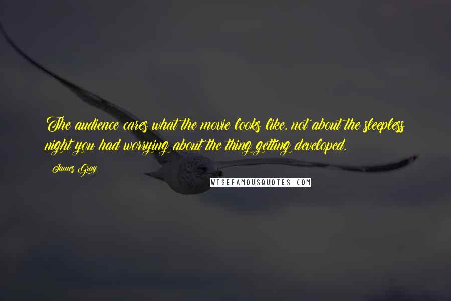 James Gray Quotes: The audience cares what the movie looks like, not about the sleepless night you had worrying about the thing getting developed.