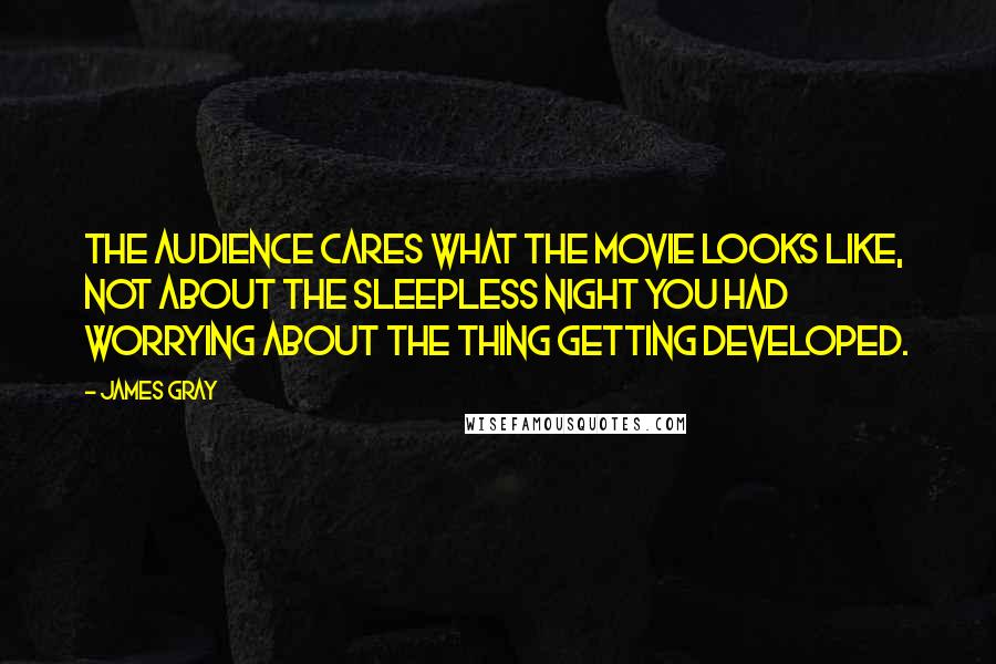 James Gray Quotes: The audience cares what the movie looks like, not about the sleepless night you had worrying about the thing getting developed.