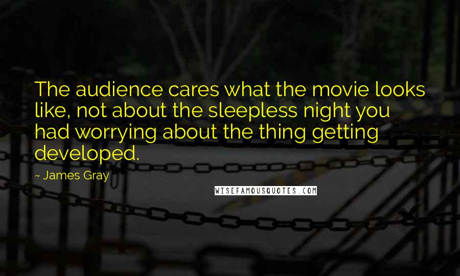 James Gray Quotes: The audience cares what the movie looks like, not about the sleepless night you had worrying about the thing getting developed.