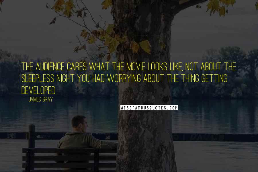 James Gray Quotes: The audience cares what the movie looks like, not about the sleepless night you had worrying about the thing getting developed.