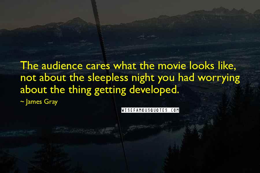 James Gray Quotes: The audience cares what the movie looks like, not about the sleepless night you had worrying about the thing getting developed.