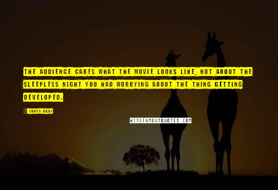 James Gray Quotes: The audience cares what the movie looks like, not about the sleepless night you had worrying about the thing getting developed.