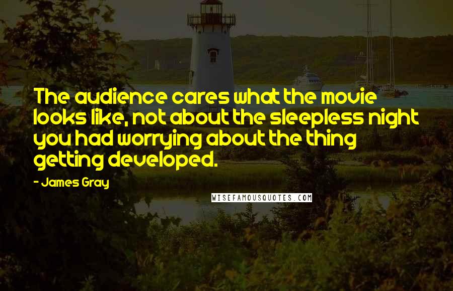 James Gray Quotes: The audience cares what the movie looks like, not about the sleepless night you had worrying about the thing getting developed.