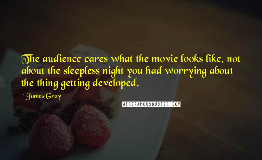 James Gray Quotes: The audience cares what the movie looks like, not about the sleepless night you had worrying about the thing getting developed.