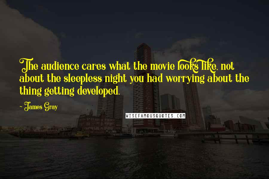 James Gray Quotes: The audience cares what the movie looks like, not about the sleepless night you had worrying about the thing getting developed.