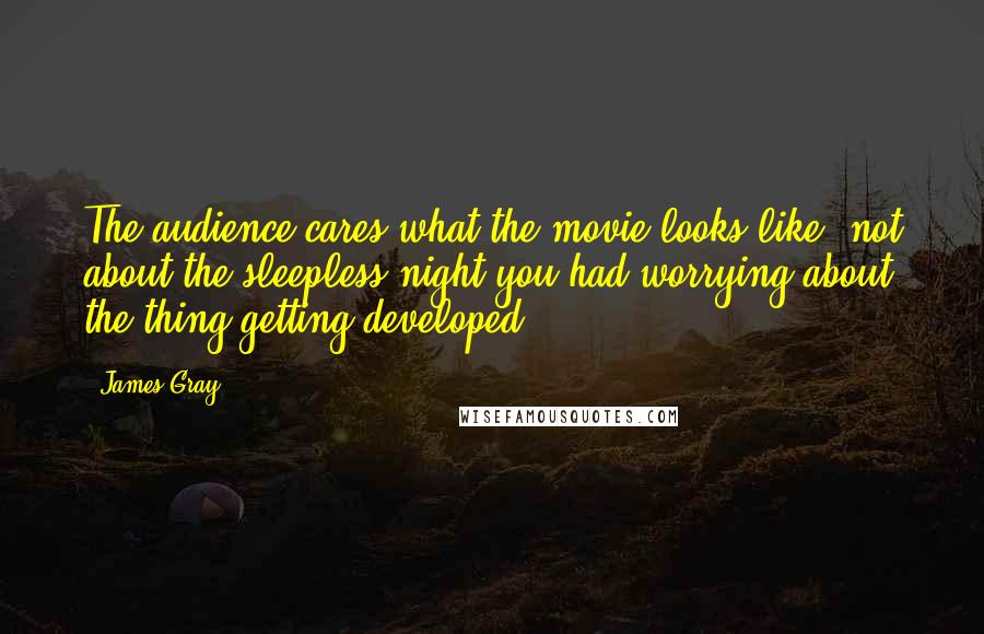 James Gray Quotes: The audience cares what the movie looks like, not about the sleepless night you had worrying about the thing getting developed.